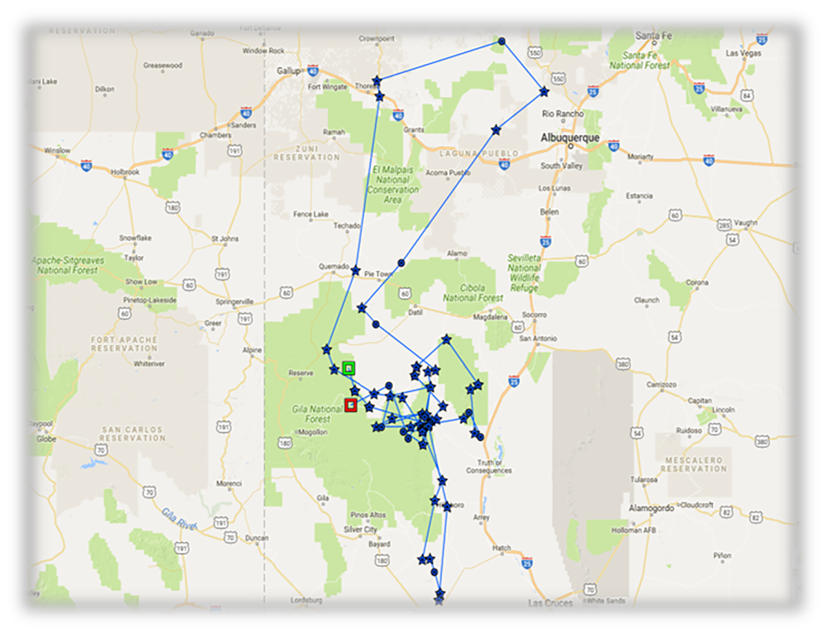 Mexican wolf dispersal map | FWS.gov